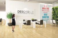 DeSoto Consulting LLC image 3